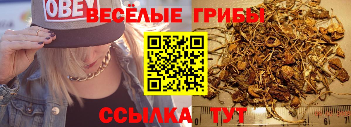 Галлюциногенные грибы GOLDEN TEACHER  Галлюциногенные грибы MAGIC MUSHROOMS  Вход с VPN  Мелеуз 